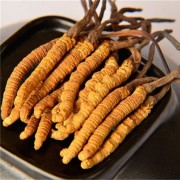 成都回收冬蟲(chóng)夏草電話(huà) 哪里回收冬蟲(chóng)夏草出價(jià)高