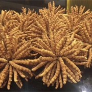 石家莊蟲(chóng)草收購(gòu)市場(chǎng)行情_(kāi)過(guò)期冬蟲(chóng)夏草收購(gòu)價(jià)值多少